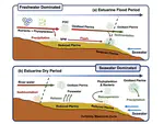 12. Microbial pterins as potential indicators of organic carbon dynamics in estuarine and coastal sediments