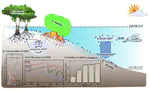 6. Spatial heterogeneity in chemical composition and stability of glomalin-related soil protein in the coastal wetlands